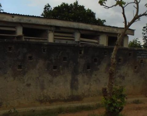 Ogobai primary schoool latrines.