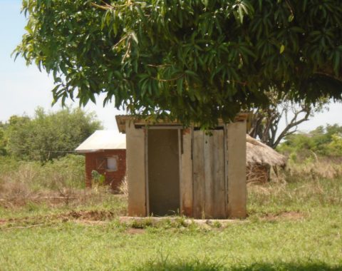 this is one toilet